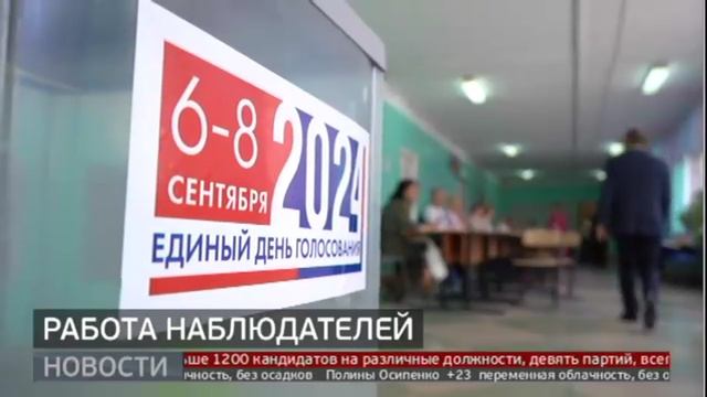 Более двух тысяч человек: что входит в обязанности наблюдателей? Новости 08/09/2024 GuberniaTV