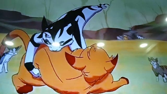 теория"Бессмертие Белки"