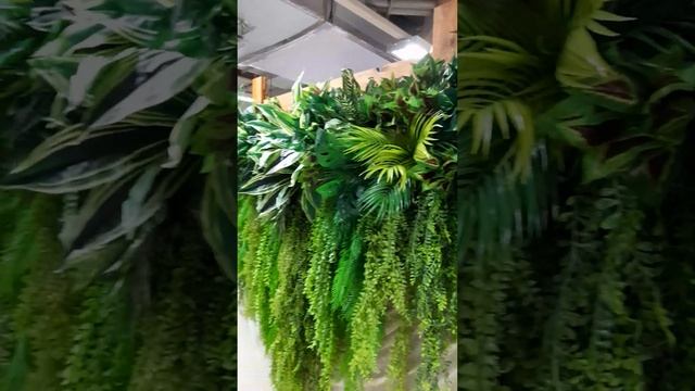 green wall