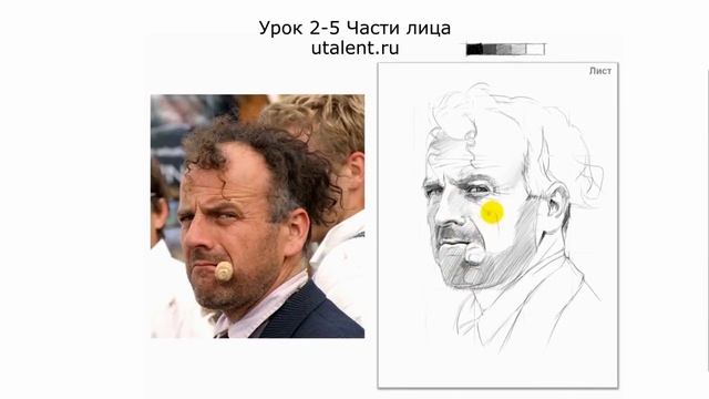 Как нарисовать портрет