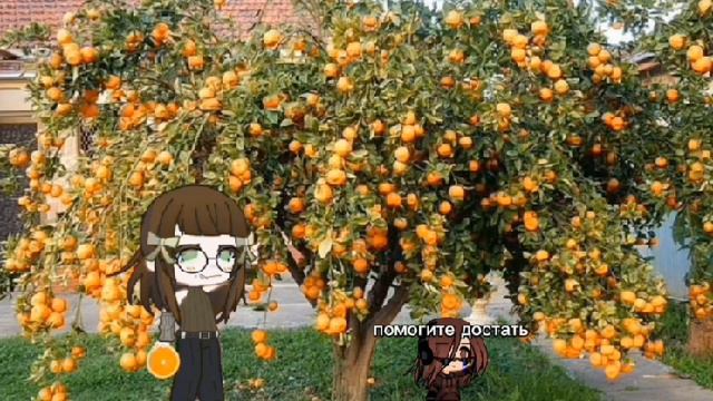 1000018486.mp4