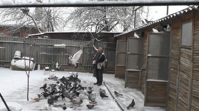 Внимание ! Как я расслабился в такой прекрасный снежный день !