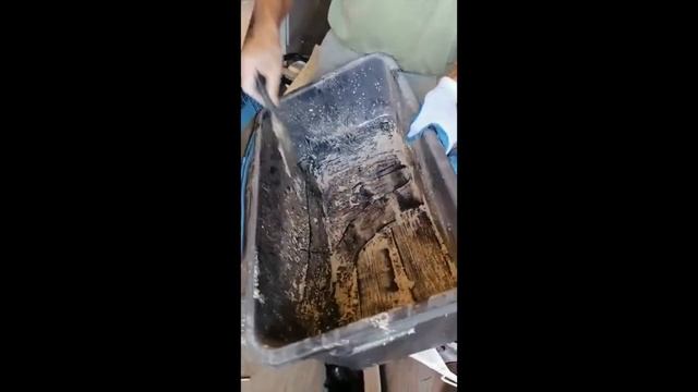 Sitan. Испытание, этап 1 26.10.20