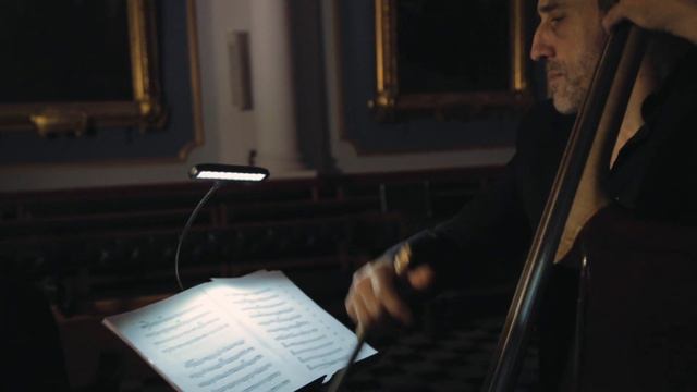 Vivaldi : Concerto for 2 Cellos in G Minor RV 531 - Largo