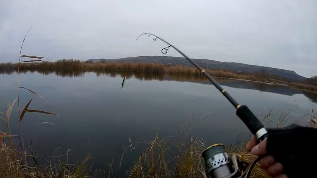 Осень. Щука на воблер TsuYoki Draga 130SP. Эпизод.
