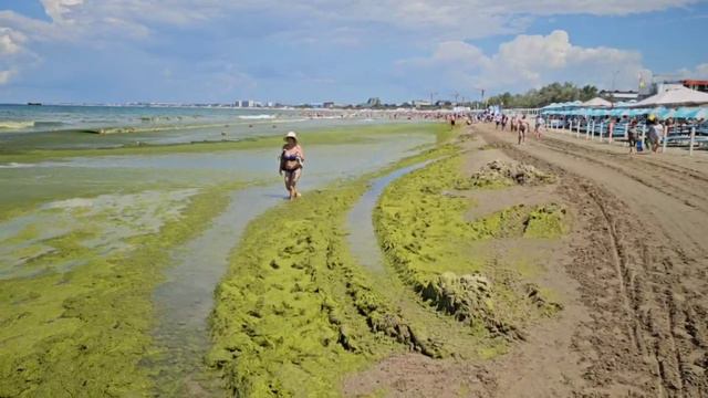 Чёрное море в Анапе превратилось в болото у Анапы