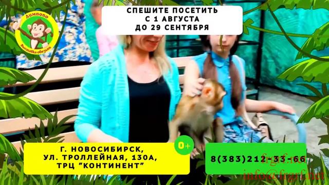 "Федеральная Рекламная Группа" запустила размещение рекламы выставки обезьянок "Лимпопо"