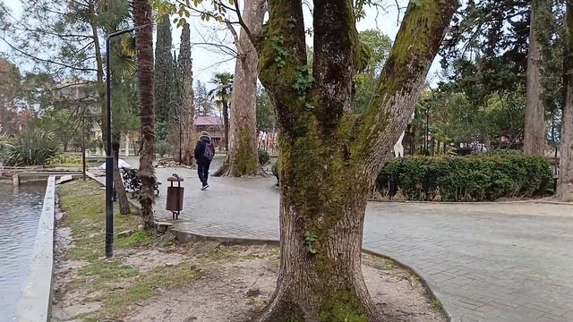 Билет в пищеру 700р Полезная иформация о картах Мир. Парк с чéрными принцессами. #абхазия25ч.