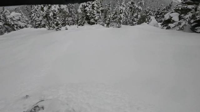 Lynx Shredder RE Turbo R  vs Gen 5 Expert Turbo R