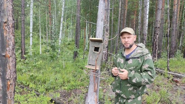 Яйца ворон и сорок