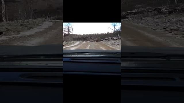 зелёный грунт.