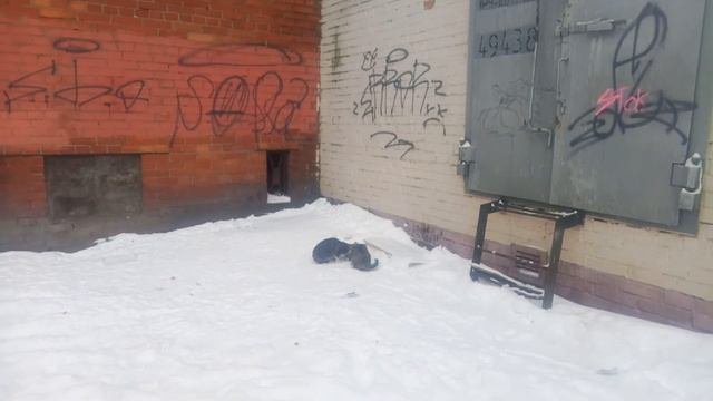 Мерзнут руки и ноги и негде сесть....Это время похоже на сплошную ночь...