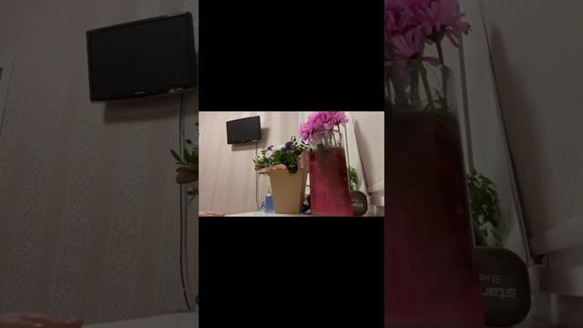 ЧТО НАШЁЛ 100 ДОЛАРОВ ПОД ДЕРЕВОМ ПРОВЕРЯЮ НАСТОЯЩИЕ  ДЕНЬГИ ? ?⁉️