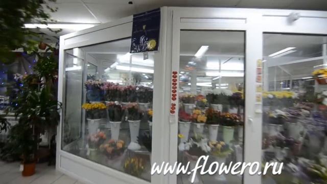 Цветы в Вологде. www.flowero.ru