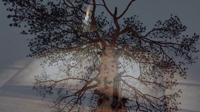 ФАТУМ...
Видеопоэзия. Читает автор А. Шведун. 
Монтаж, соло-гитара О. Дзиов.