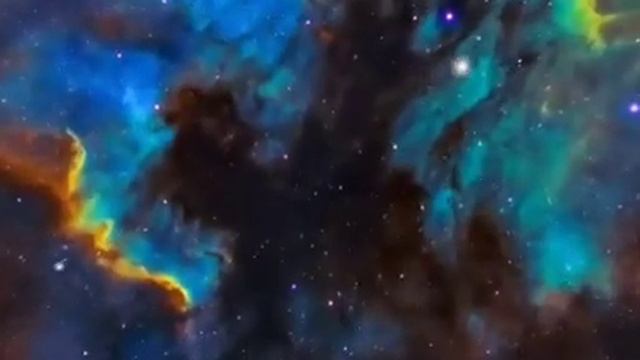 Борцунам с вн.диалогом