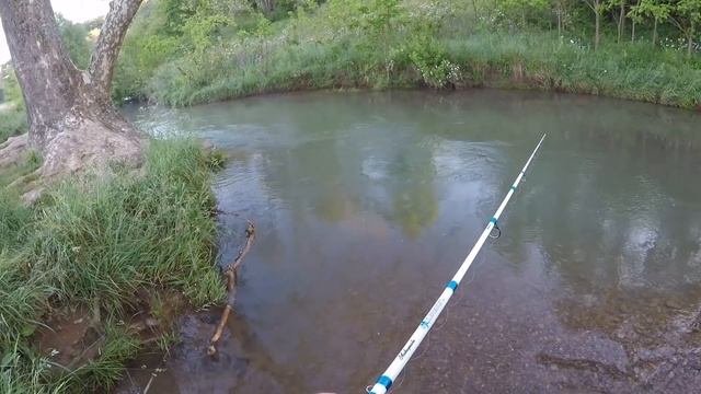 A New TROUT WORM You HAVE to Try!! | It BLEW my MIND!