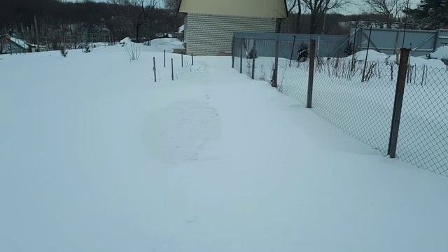 Нестройка(1) Погода 2022