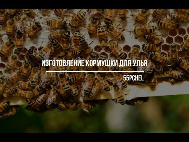 Кормушка ведро потолочная