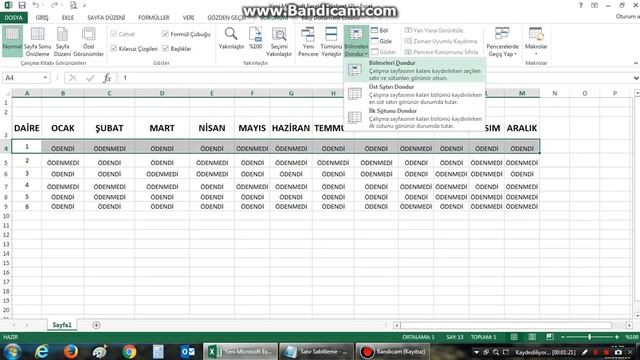 Excelde Satır Sabitleme