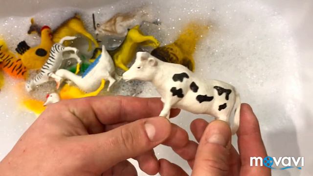 Видео для детей Развивающее видео Учим животных Куча игрушек