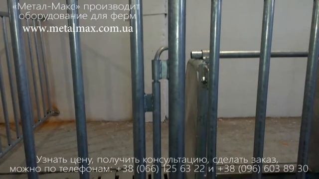 Боксы для содержания