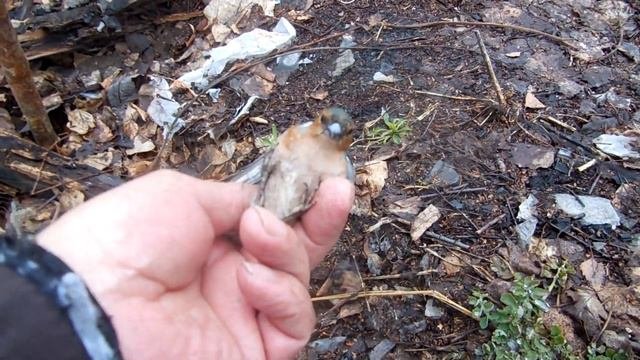 Эпизоды не вошедшие в основные видео.