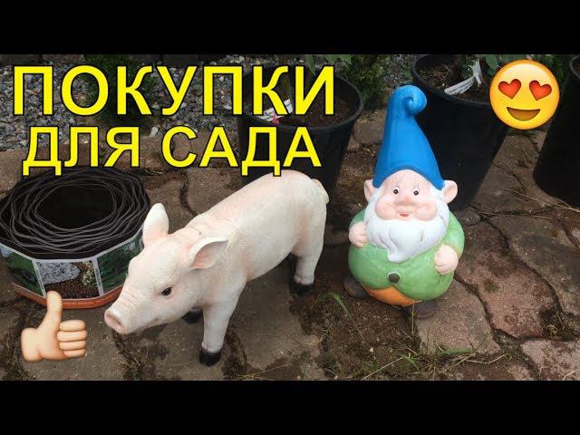 Мои Покупки Для Сада! Розы!