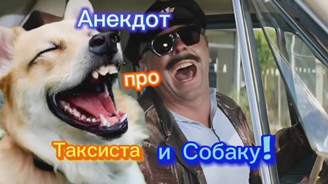 Анекдот про Таксиста и Собаку!!! 🤣🤣🤣🤣🤣