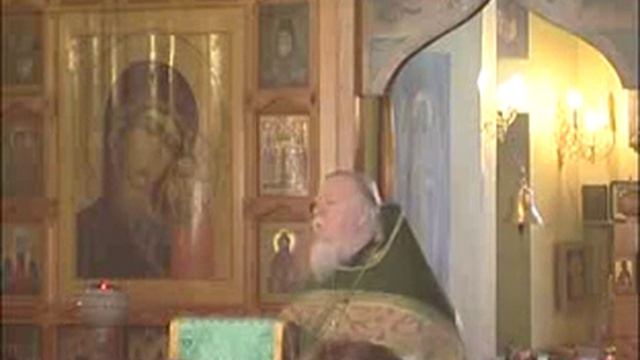 Вход Господень в Иерусалим. О служении Богу и ближнему (2010 03 28) Протоиерей Дмитрий Смирнов
