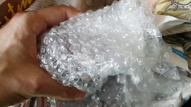 Cactus & Succulent Unboxing from Cactusland UK - An Awesome Gymno!