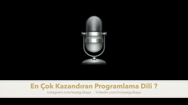 En Çok Kazandıran Programlama Dili!