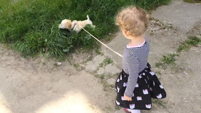 Baby Video