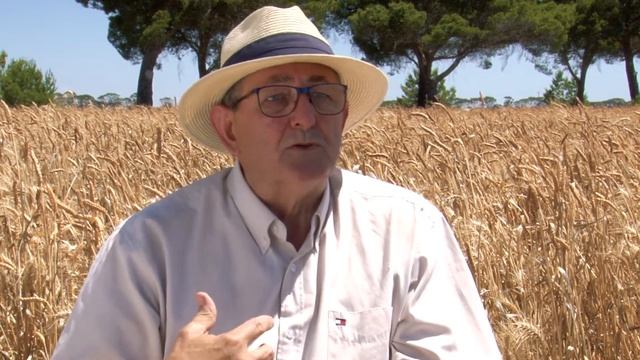 Rob Norton: Nitrogen use efficiency