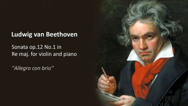 Ludwig van Beethoven - Sonata op.12 No.1 in Re maj. for violin and piano - Allegro con brio
