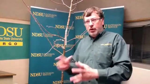 Spring Fever Garden Forum 2017: Grafting Apples