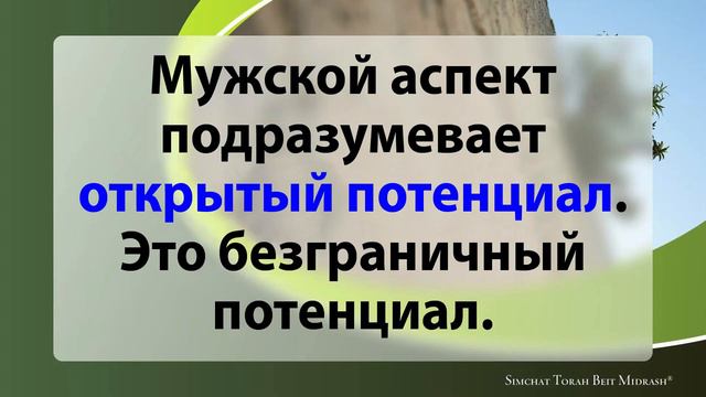 #23 СТБМ - 'Живите, исполняя свое предназначение' Часть 3 - Ральф Мессер - Симхат Тора Бейт Мидраш