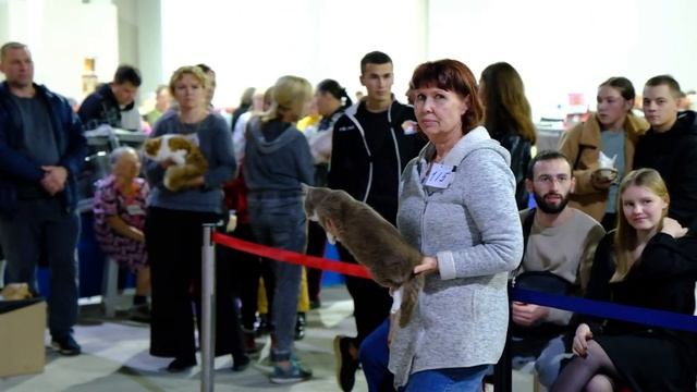 "Международная выставка кошек "Осенний вернисаж - 2023". УРОФО "Грация"