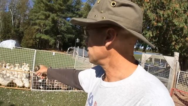 Mid day update... Live Stream Oct 12, 2017