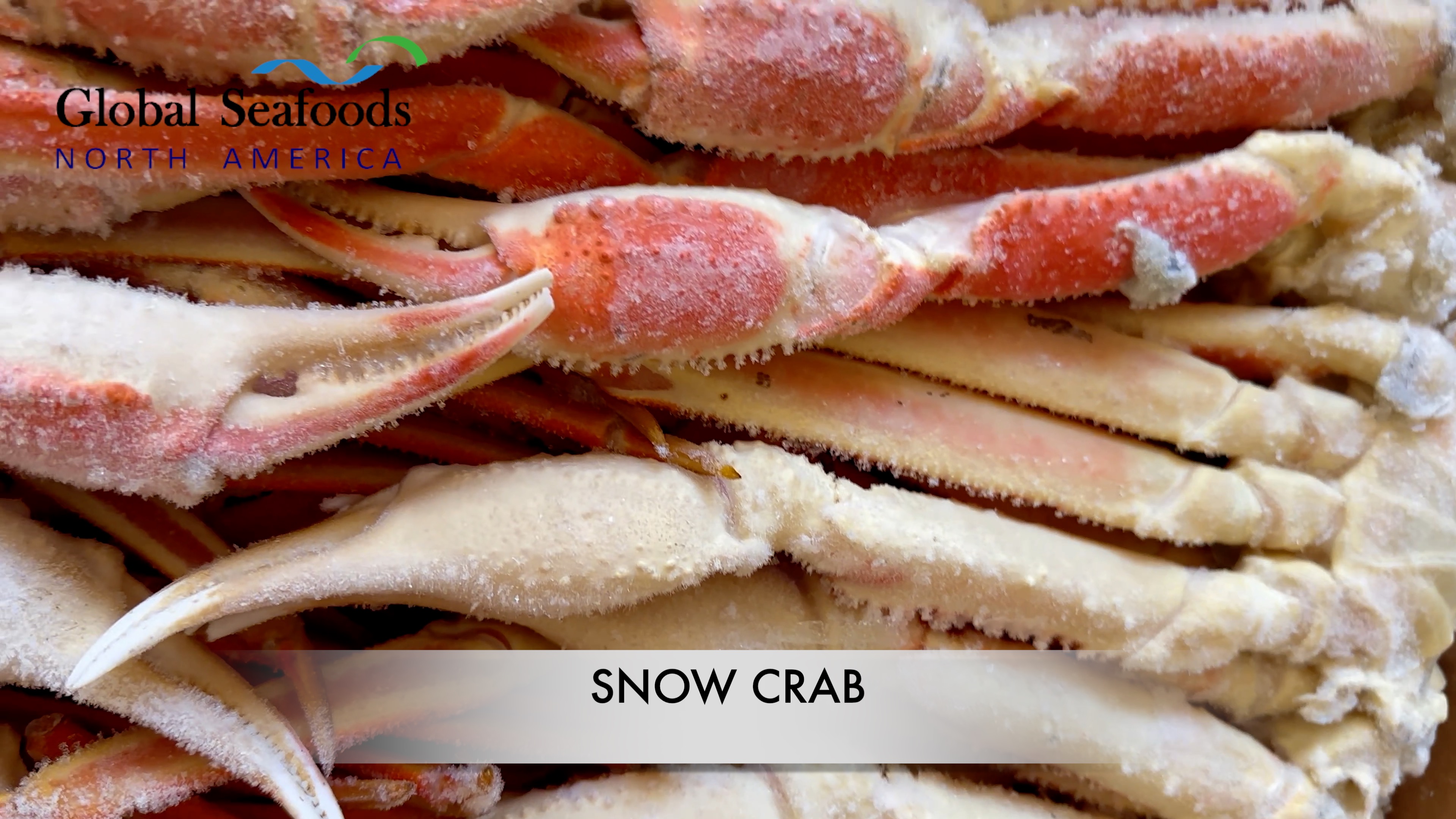 Unlocking the Beauty of Snow Crab Legs | A Visual and Culinary Treat! Global Seafoods Fish Market