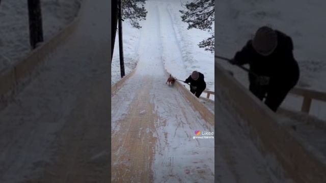 Like_7194142697071610168.mp4