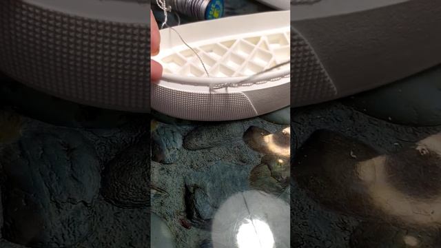 Вязаная обувь для начинающих. Урок 1. Прошивка подошвы капроновой нитью.