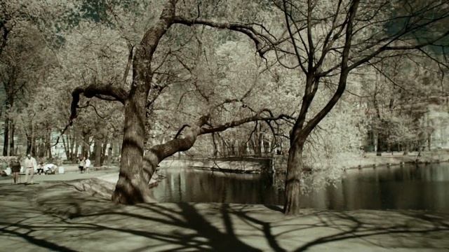 IR nex-5 infrared