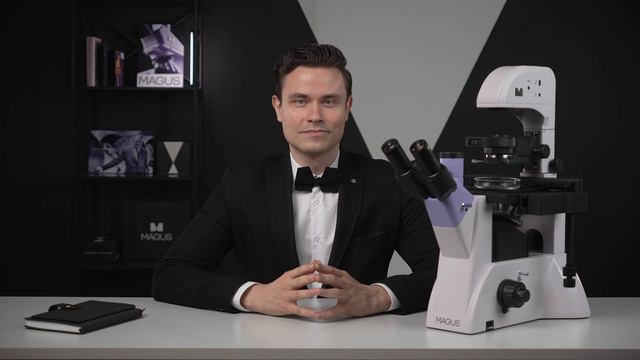 Диваны для кафе обивка дивана.