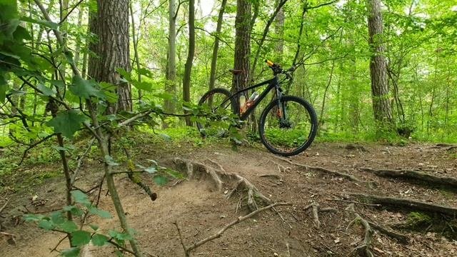 CUBE REACTION C:62 RACE CARBONNORANGE 2019  HARDTAIL BIKE