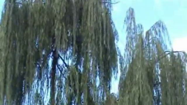 Суруди Сари Хосор