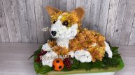 Корги из живых цветов