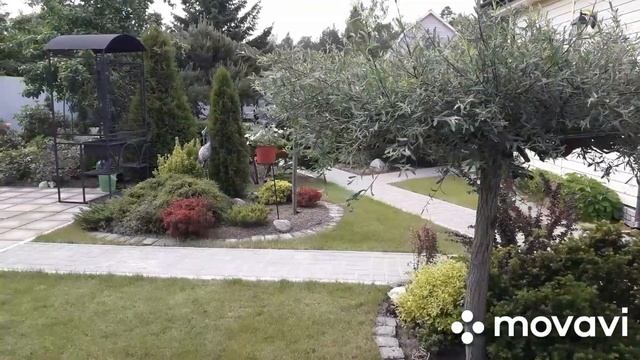 ХВОЙНЫЙ САД Ольги Молчановой в ИЮНЕ.