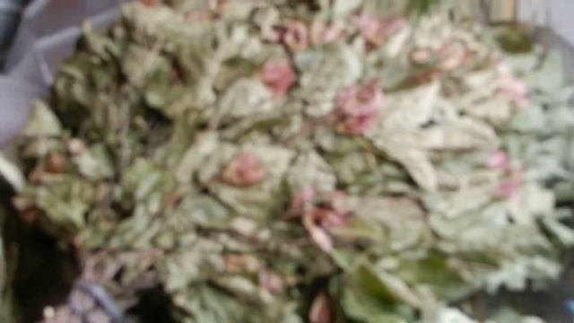 Как выбрать дубовый веничек? 8 963 998 80 21