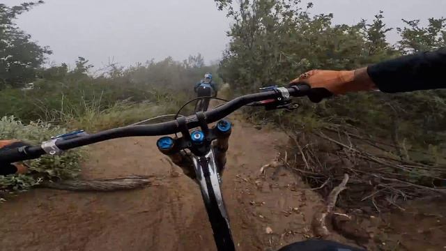 TESTEANDO LA BESTIA ! PIVOT PHOENIX 29
